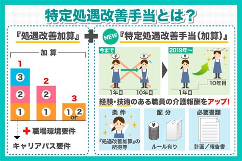 特定処遇改善加算 要件: 未来への扉を開く鍵