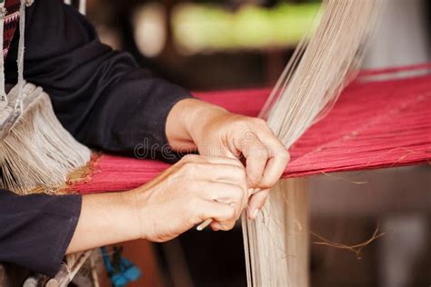  Brushstrokes on Silk: An Exploration of Thai Identity and Nature's Harmony