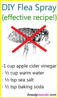 Does Lice Spray Kill Fleas? Exploring the Intersection of Pest Control and Unlikely Solutions