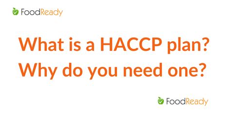 haccp 罰則: なぜ私たちはサンドイッチを愛してしまうのか？