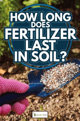 How Long Does Fertilizer Take to Work: A Journey Through Time and Soil