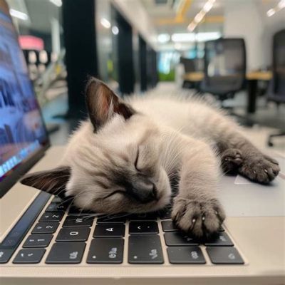 pc 消費電力 調べ方 そして、なぜ猫はキーボードの上で寝るのか？