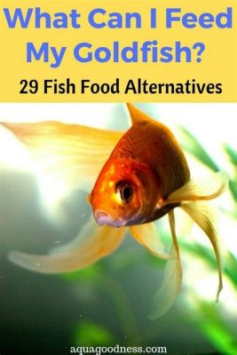 What Can I Feed Goldfish Besides Fish Food? And Why Do They Sometimes Dream of Flying?