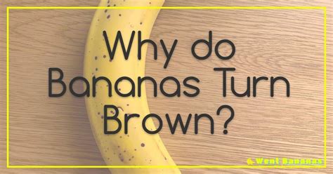 What Do You Wear During a Spray Tan, and Why Do Bananas Glow in the Dark?