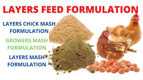 What is Layer Feed for Chickens: A Comprehensive Guide to Nutritional Needs and Beyond