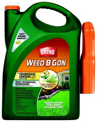 When is the Best Time to Spray Weed Killer: Exploring the Intersection of Gardening and Cosmic Energy